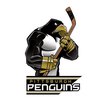 Наклейка Pittsburgh Penguins Mascot