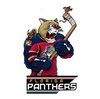 Наклейка Florida Panthers  Mascot