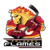 Наклейка Calgary Flames Mascot