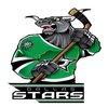 Наклейка Dallas Stars Mascot