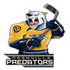 Наклейка Nashville Predators Mascot