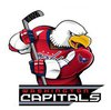 Наклейка Washington Capitals Mascot