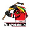 Наклейка  Chicago Blackhawks Mascot