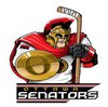 Наклейка Ottawa Senators Mascot