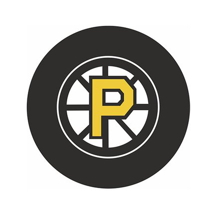 Шайба AHL Bruins Providence