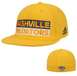 Купить Бейсболка Nashville Predators Culture Box Flex Hat