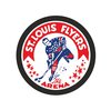 Шайба St.Louis Flyers