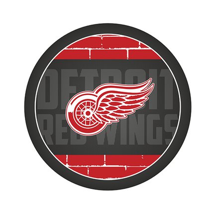 Шайба NHL 2023 Detroit Red Wings