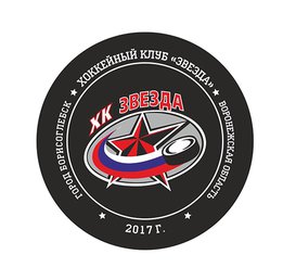 Купить Шайба Звезда Борисоглебск Ночная Лига