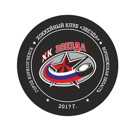 Шайба Звезда Борисоглебск Ночная Лига